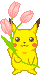 pika2
