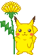 pika