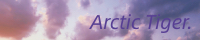 Arctic Tiger